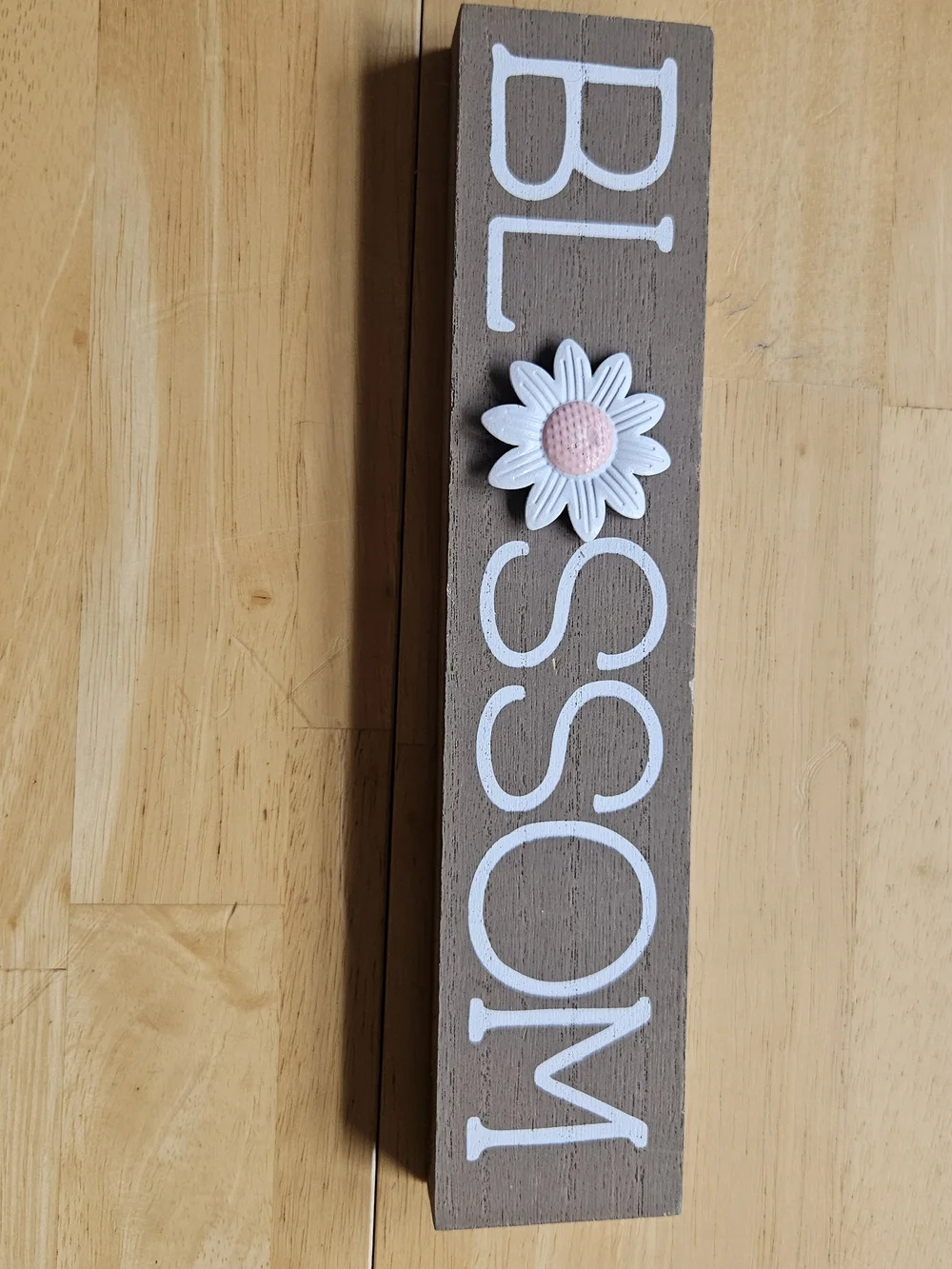 Blossom Daisy Wall Plaque - White and Pink